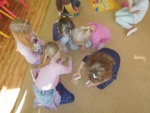 DSCN4140.JPG
