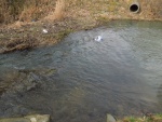 DSCN4122.JPG