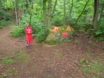 DSCN4699.JPG