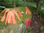 DSCN4711.JPG