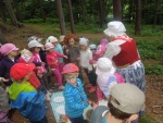 DSCN4749.JPG