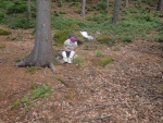 DSCN4763.JPG