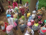 DSCN4768.JPG