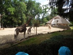DSCN4959.JPG