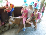 DSCN4976.JPG