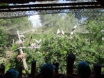 DSCN4989.JPG