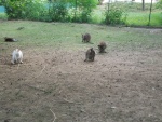 DSCN5018.JPG