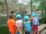 DSCN5056.JPG