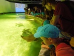 DSCN5063.JPG