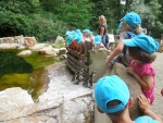 DSCN5065.JPG