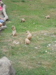 DSCN5082.JPG