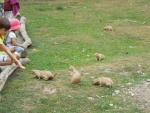 DSCN5083.JPG